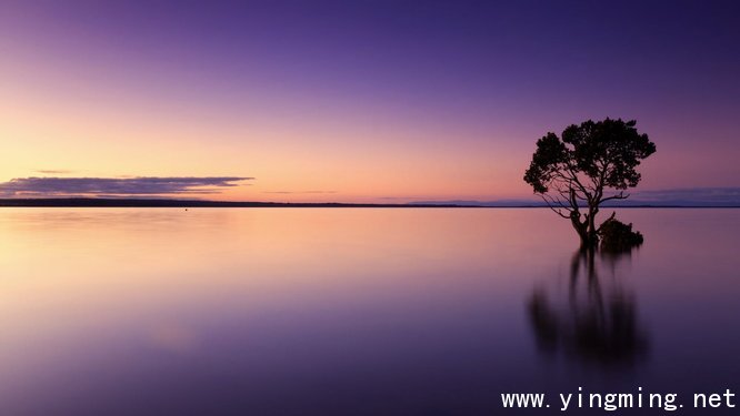 岳麓區(qū)網(wǎng)站設(shè)計(jì)制作如何提高設(shè)計(jì)感？
